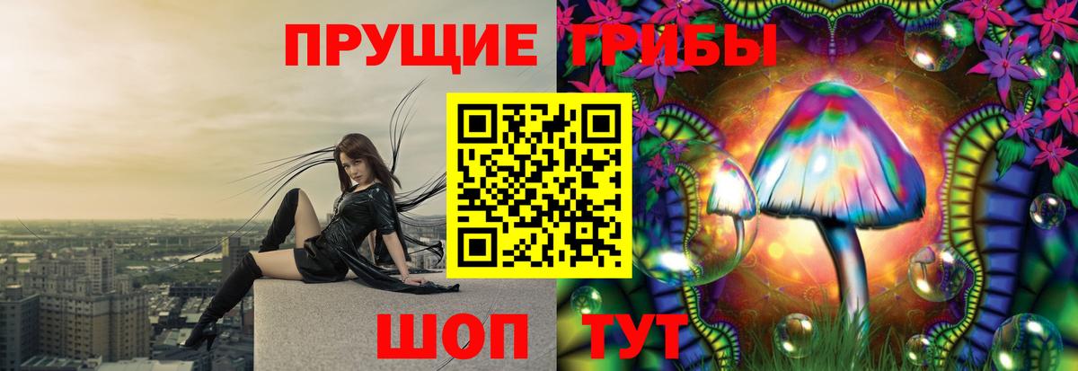 Кудрово  цены наркотик  Псилоцибиновые грибы GOLDEN TEACHER  Вход с VPN  Галлюциногенные грибы GOLDEN TEACHER 