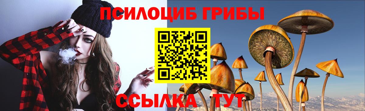 Галлюциногенные грибы MAGIC MUSHROOMS Кудрово